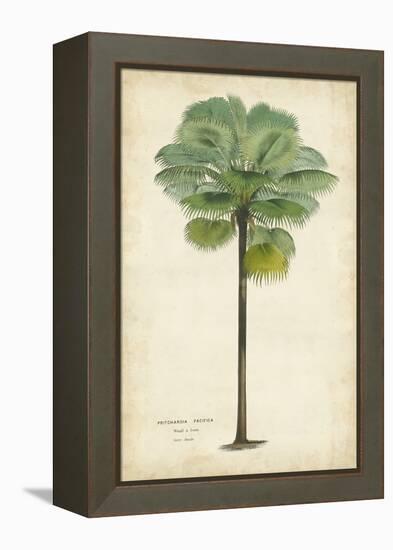 Palm of the Tropics II-Horto Van Houtteano-Framed Stretched Canvas