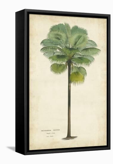 Palm of the Tropics II-Horto Van Houtteano-Framed Stretched Canvas