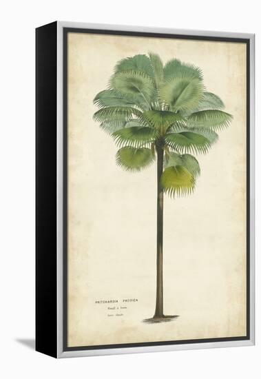 Palm of the Tropics II-Horto Van Houtteano-Framed Stretched Canvas