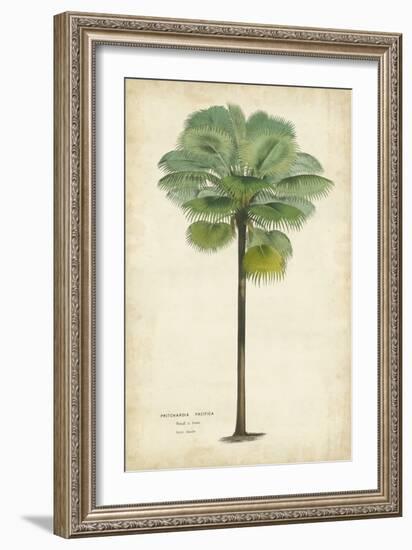 Palm of the Tropics II-Horto Van Houtteano-Framed Premium Giclee Print