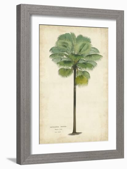 Palm of the Tropics II-Horto Van Houtteano-Framed Premium Giclee Print