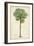 Palm of the Tropics II-Horto Van Houtteano-Framed Premium Giclee Print