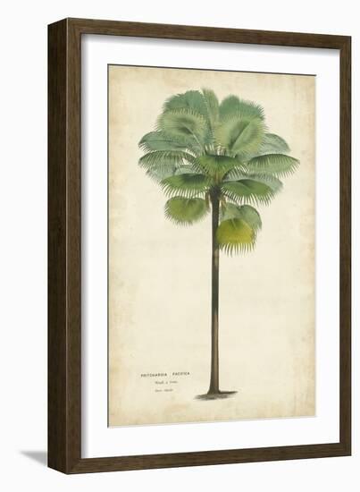 Palm of the Tropics II-Horto Van Houtteano-Framed Premium Giclee Print