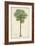 Palm of the Tropics II-Horto Van Houtteano-Framed Premium Giclee Print