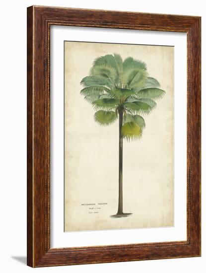 Palm of the Tropics II-Horto Van Houtteano-Framed Premium Giclee Print