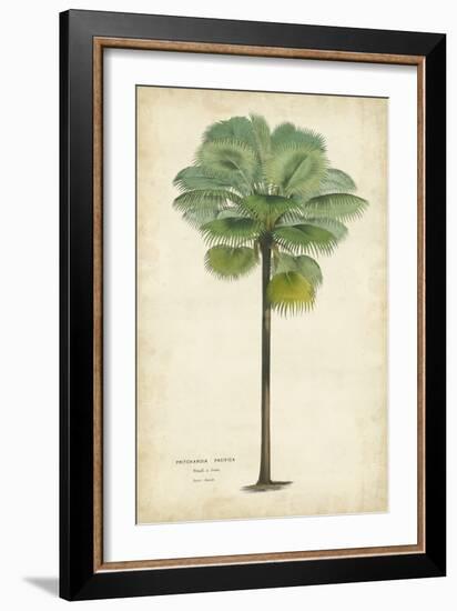 Palm of the Tropics II-Horto Van Houtteano-Framed Premium Giclee Print