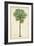 Palm of the Tropics II-Horto Van Houtteano-Framed Premium Giclee Print