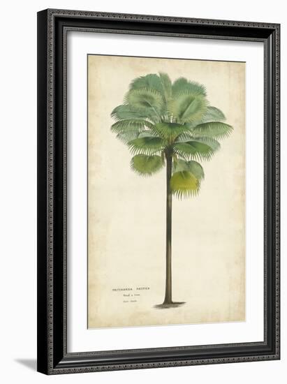 Palm of the Tropics II-Horto Van Houtteano-Framed Premium Giclee Print