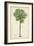 Palm of the Tropics II-Horto Van Houtteano-Framed Premium Giclee Print