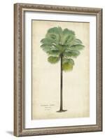 Palm of the Tropics II-Horto Van Houtteano-Framed Art Print