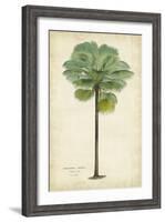 Palm of the Tropics II-Horto Van Houtteano-Framed Art Print