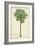 Palm of the Tropics II-Horto Van Houtteano-Framed Art Print