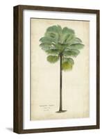 Palm of the Tropics II-Horto Van Houtteano-Framed Art Print