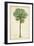 Palm of the Tropics II-Horto Van Houtteano-Framed Art Print