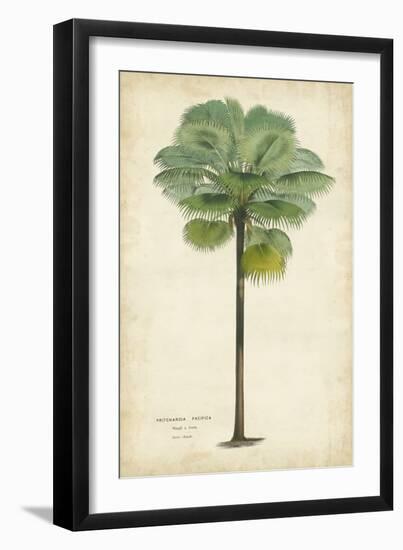 Palm of the Tropics II-Horto Van Houtteano-Framed Art Print