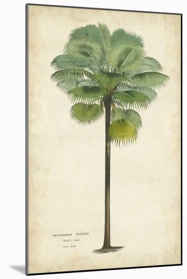 Palm of the Tropics II-Horto Van Houtteano-Mounted Art Print