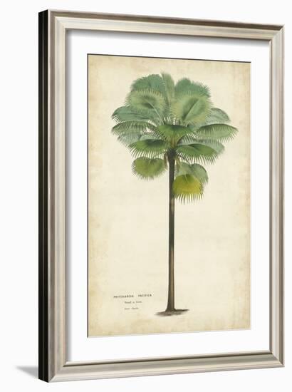 Palm of the Tropics II-Horto Van Houtteano-Framed Art Print