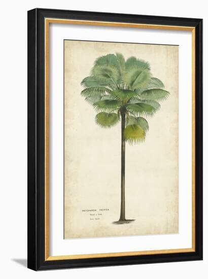 Palm of the Tropics II-Horto Van Houtteano-Framed Art Print