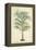 Palm of the Tropics III-Horto Van Houtteano-Framed Stretched Canvas