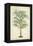 Palm of the Tropics III-Horto Van Houtteano-Framed Stretched Canvas