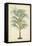 Palm of the Tropics III-Horto Van Houtteano-Framed Stretched Canvas