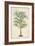 Palm of the Tropics III-Horto Van Houtteano-Framed Premium Giclee Print