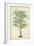 Palm of the Tropics III-Horto Van Houtteano-Framed Premium Giclee Print