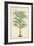 Palm of the Tropics III-Horto Van Houtteano-Framed Premium Giclee Print