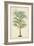 Palm of the Tropics III-Horto Van Houtteano-Framed Art Print