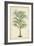 Palm of the Tropics III-Horto Van Houtteano-Framed Art Print