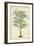 Palm of the Tropics III-Horto Van Houtteano-Framed Art Print