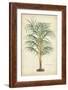Palm of the Tropics III-Horto Van Houtteano-Framed Art Print