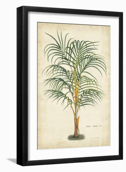 Palm of the Tropics III-Horto Van Houtteano-Framed Art Print