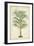 Palm of the Tropics III-Horto Van Houtteano-Framed Art Print