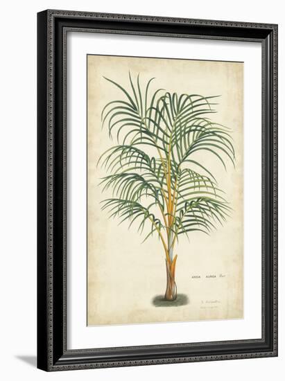 Palm of the Tropics III-Horto Van Houtteano-Framed Art Print