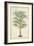 Palm of the Tropics III-Horto Van Houtteano-Framed Art Print