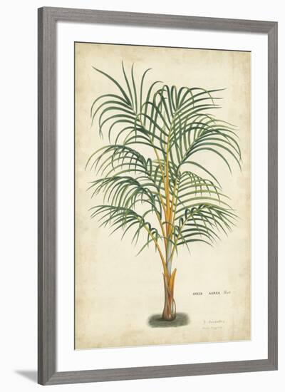 Palm of the Tropics III-Horto Van Houtteano-Framed Art Print