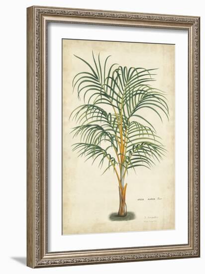Palm of the Tropics III-Horto Van Houtteano-Framed Art Print