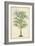 Palm of the Tropics III-Horto Van Houtteano-Framed Art Print