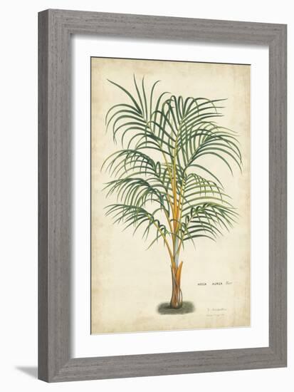 Palm of the Tropics III-Horto Van Houtteano-Framed Art Print