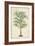 Palm of the Tropics III-Horto Van Houtteano-Framed Art Print