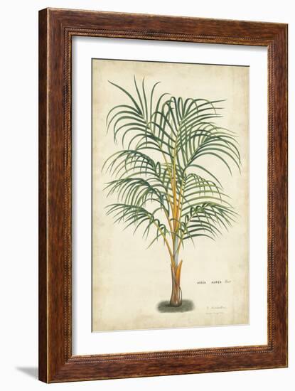 Palm of the Tropics III-Horto Van Houtteano-Framed Art Print