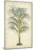 Palm of the Tropics III-Horto Van Houtteano-Mounted Art Print