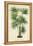 Palm of the Tropics IV-Horto Van Houtteano-Framed Stretched Canvas