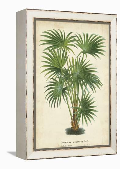 Palm of the Tropics IV-Horto Van Houtteano-Framed Stretched Canvas