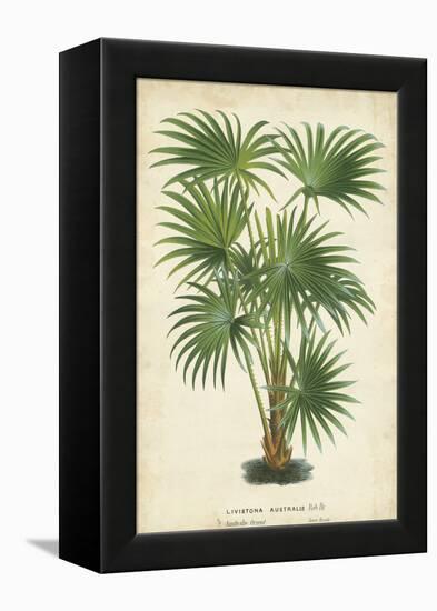 Palm of the Tropics IV-Horto Van Houtteano-Framed Stretched Canvas