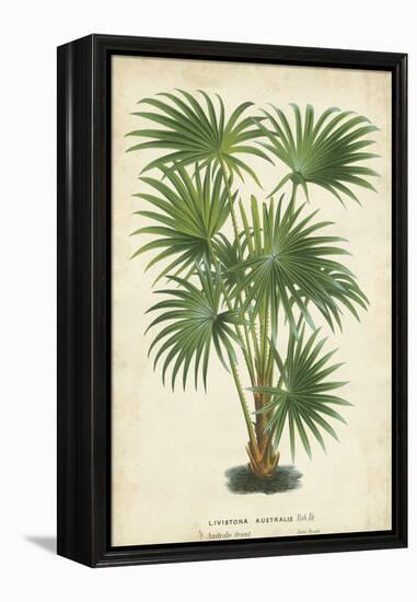 Palm of the Tropics IV-Horto Van Houtteano-Framed Stretched Canvas