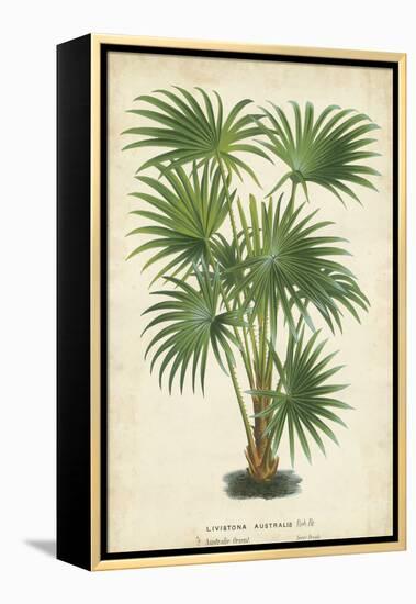 Palm of the Tropics IV-Horto Van Houtteano-Framed Stretched Canvas