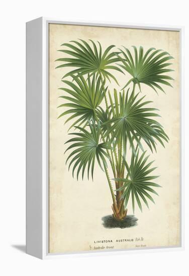 Palm of the Tropics IV-Horto Van Houtteano-Framed Stretched Canvas