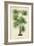 Palm of the Tropics IV-Horto Van Houtteano-Framed Premium Giclee Print